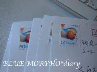 bluemorpho.diary.2012.8.4.1