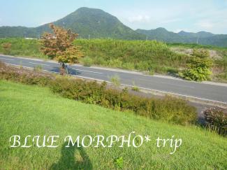 bluemorpho.trip.2012.9.22-23.24.7
