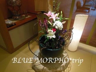 bluemorpho.trip.2012.9.22-23.26.13