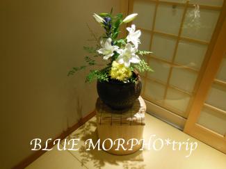 bluemorpho.trip.2012.9.22-23.26.12