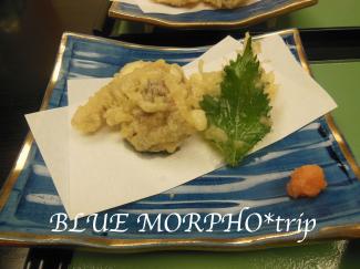 bluemorpho.trip.2012.9.22-23.26.8