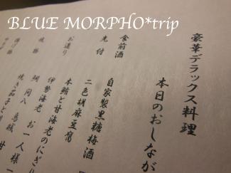 bluemorpho.trip.2012.9.22-23.26.5