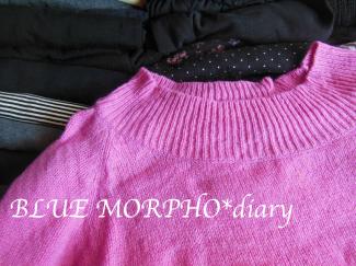 bluemorpho.diary.2012.10.9