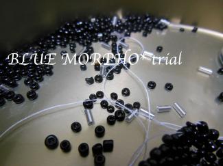 bluemorpho.trial.2012.10.16
