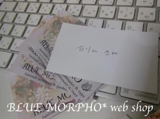 bluemorpho.webshop.2012.12.2.2