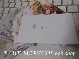 bluemorpho.webshop.2012.12.2.1