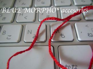 bluemorpho.accessories.2012.12.4.1