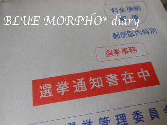 bluemorpho.diary.2012.12.5