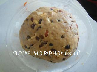 bluemorpho.bread?2013.11.25