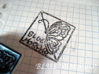 bluemorpho.stump.2012.3.15.1