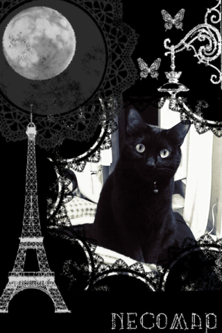Iphone壁紙 ゴシック風黒猫 Necomap 黒猫的iphone生活