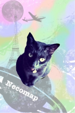 Iphone壁紙 黒猫inメルヘンワールド Necomap 黒猫的iphone生活